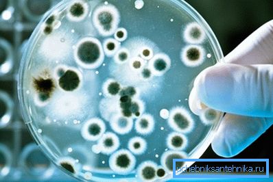 Studiile bacteriologice pot conduce numai SES