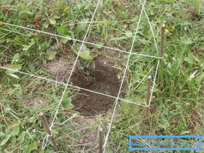 Descriim contururile structurii viitoare cu un șir Descriim contururile structurii viitoare cu un șir