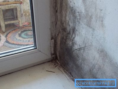 Imagine dismală, nu-i așa? Imagine dismală, nu-i așa?