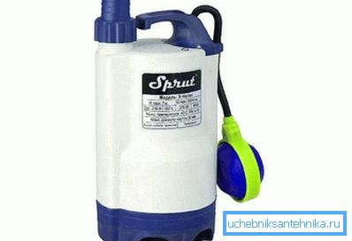 Pomul de caracatiță