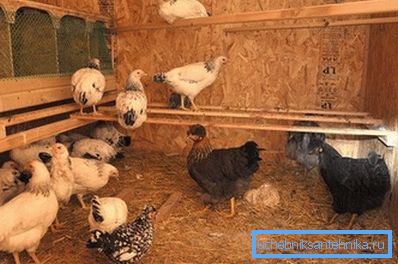 Opțiune naturală potrivită pentru camere mici.