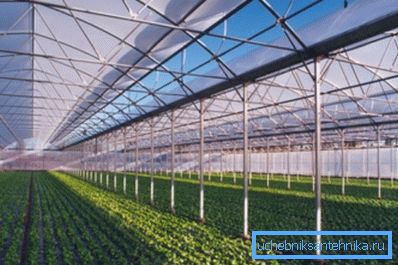 Agricultorii care cultivă legumele în sere, abordează problema încălzirii într-un mod complet diferit.