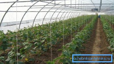 Sistemul de încălzire utilizat este selectat pe baza ariei structurii agrotehnice.