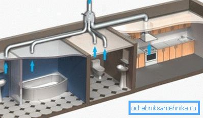 Apartamentul trebuie să fie bine ventilat. Apartamentul trebuie să fie bine ventilat.