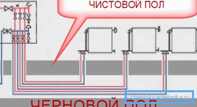 Structura fasciculului