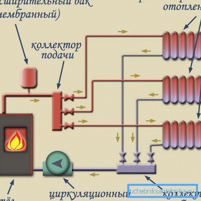 Structura fasciculului. Structura fasciculului.
