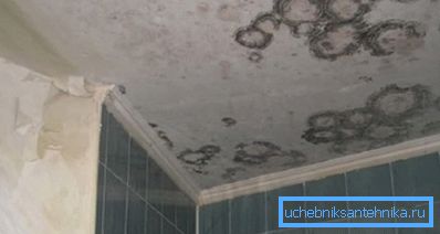 În fotografie - consecințele lipsei de ventilație (probabil, mirosul este potrivit)