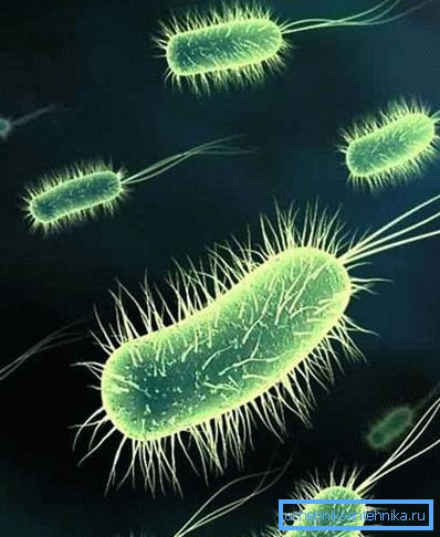Prezența bacteriilor în apa potabilă poate duce la boli grave. Prezența bacteriilor în apa potabilă poate duce la boli grave.
