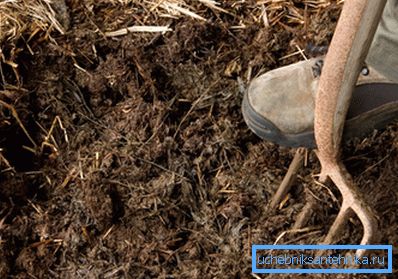 Gunoiul - combustibil ecologic pentru seră