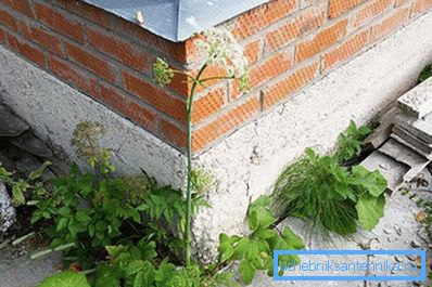 Crusta Subsol Beton