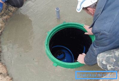Varianta cu caise din plastic