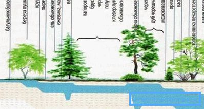 Găsirea unui loc pentru un puț poate fi ajutată de natura însăși (a se vedea descrierea din text) Găsirea unui loc pentru un puț poate fi ajutată de natura însăși (a se vedea descrierea din text)