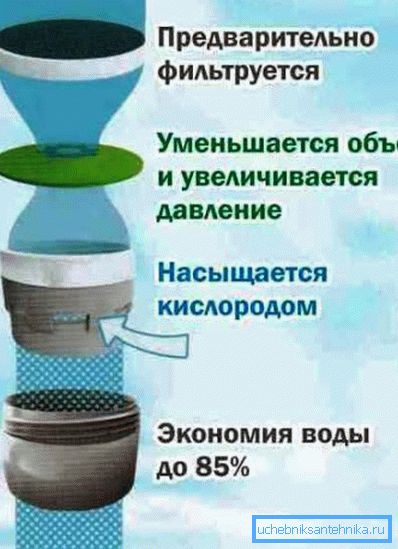 Principiul economistului
