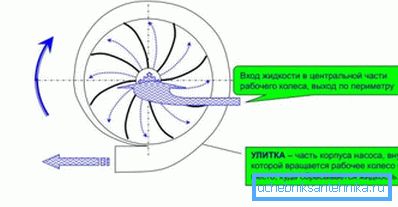 Principiul funcționării pompelor centrifuge.