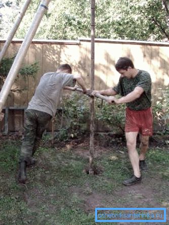 Exercițiu manual