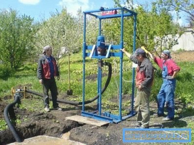 Vegetația la locul de foraj.