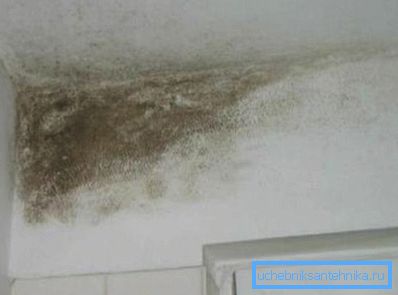 Multumirea mulajului este rezultatul unei circulații slabe a aerului în apartament. Multumirea mulajului este rezultatul unei circulații slabe a aerului în apartament.