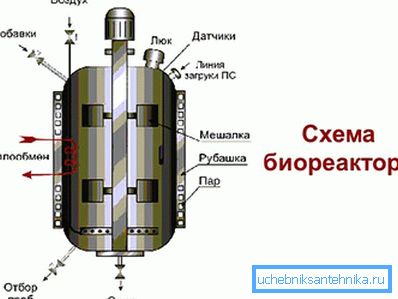 3966 Circuit bioreactor