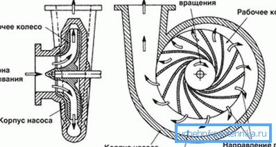 Schema pompei centrifuge
