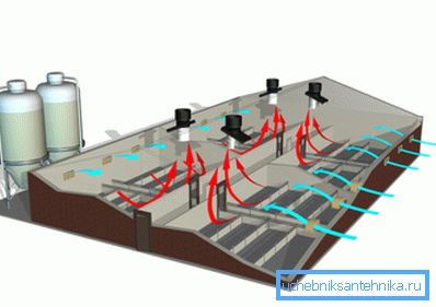 Schema de ventilație a complexului zootehnic Schema de ventilație a complexului zootehnic