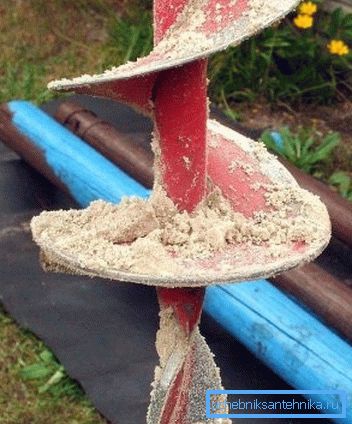 Arborele trebuie să fie curățat periodic.