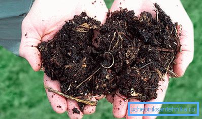 Materii prime pentru producerea independentă de biogaz Materii prime pentru producerea independentă de biogaz