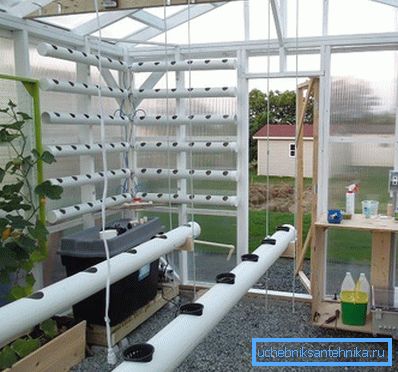 Design convenabil pentru dezvoltarea plantelor sănătoase Design convenabil pentru dezvoltarea plantelor sănătoase