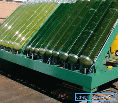 Instalatie pentru producerea de energie organica din alge Instalatie pentru producerea de energie organica din alge