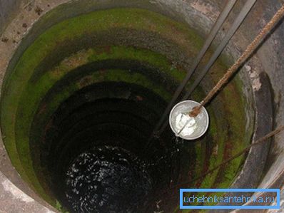 Într-un raid verde, microbii se reproduc în mod activ, inclusiv agenți patogeni.