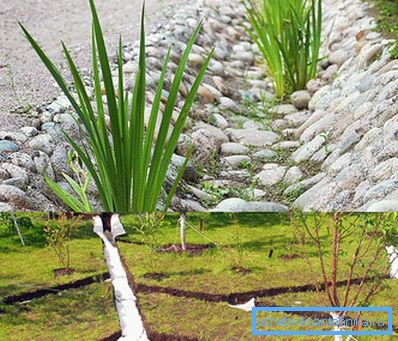 Tipuri de drenaj